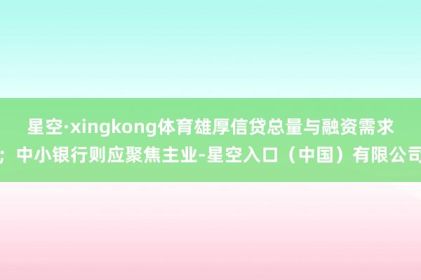 星空·xingkong体育雄厚信贷总量与融资需求；中小银行则应聚焦主业-星空入口（中国）有限公司