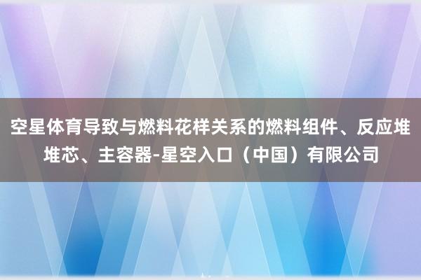 空星体育导致与燃料花样关系的燃料组件、反应堆堆芯、主容器-星空入口(中国)有限公司